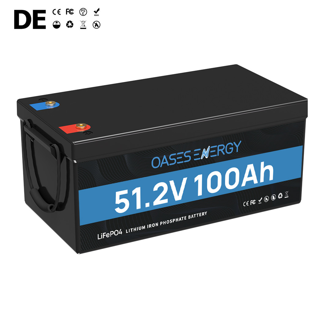 48V 100Ah Deep Cycle Lithium Battery LiFePO4 with BMS for RV Solar Boat Off-grid