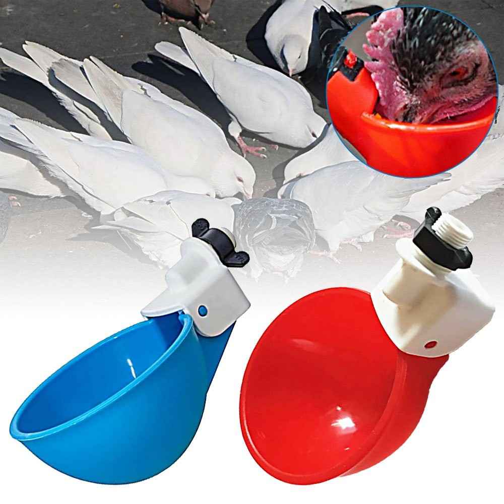 Automatic Water Cups Poultry Drinker Waterer Chicken Duck Quail Drinking CW