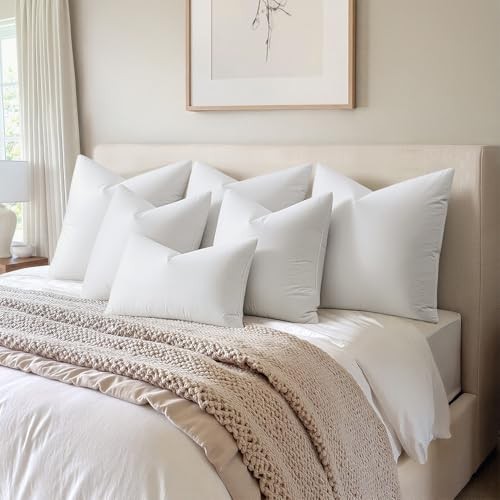 Pack of 4 22x22 Pillow Inserts, Premium Feather and Down Decorative 22x22 Inch