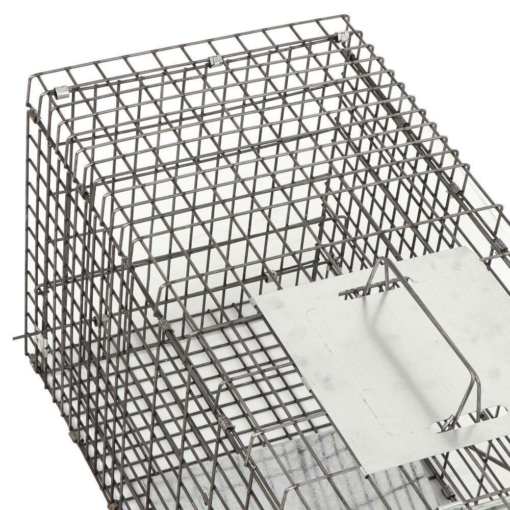 2PCS Humane Catch Release 32" Live Animal Trap for Raccoons Cats w/Iron Door