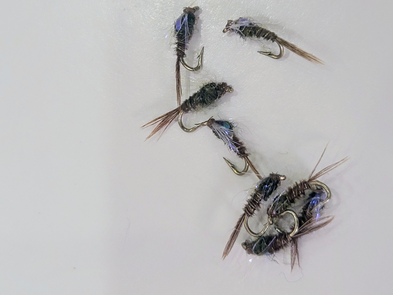 Purple Flashback Soft Hackle Trout Flies Size 20 Pheasant Tail Emerger Nymph 6
