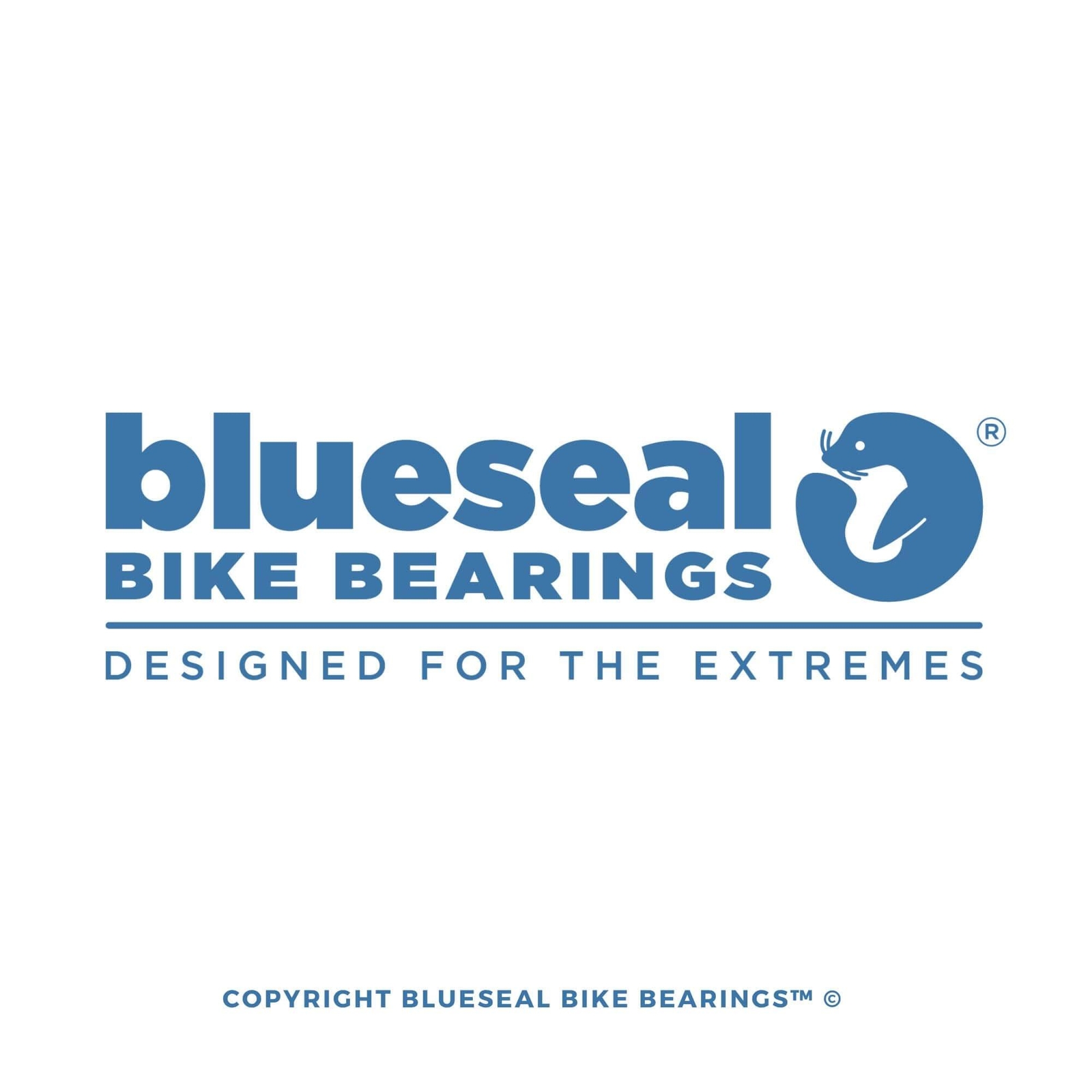 Frame Pivot Bearings Blueseal Bike Bearings™