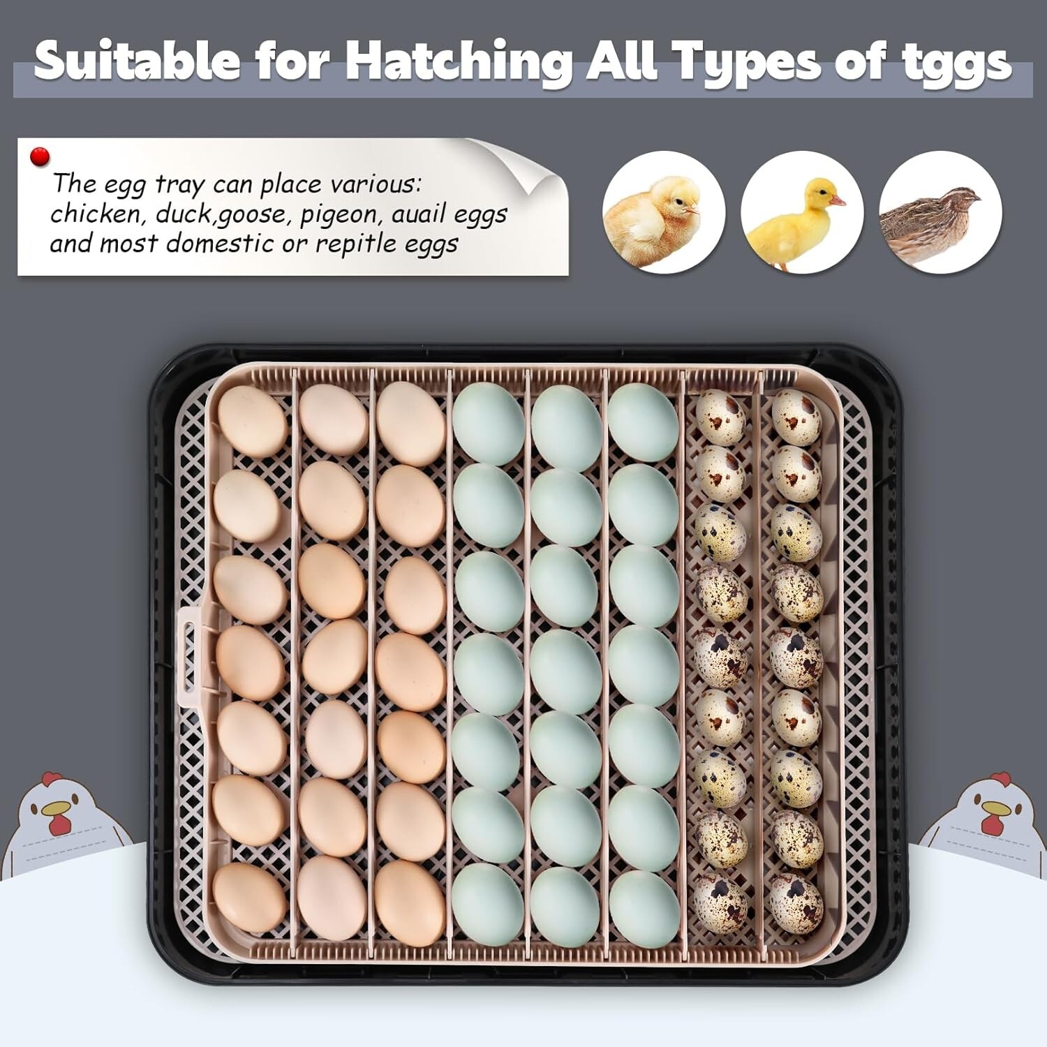 56 Egg Incubator for Hatching Eggs with Automatic Egg Turning Egg Candler Gift-