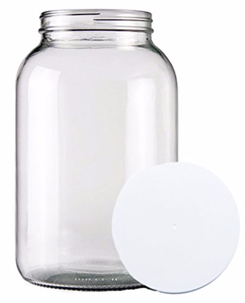 1 Gallon Glass Jar - Kombucha