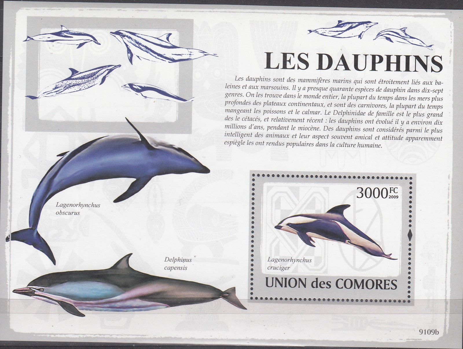 W COMORO Y2009 (52A) DOLPHINS