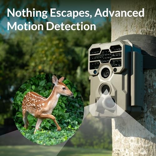 A60 Trail Camera (Non-Cellular, Non-WiFi), Enhanced Low-Light Performance,