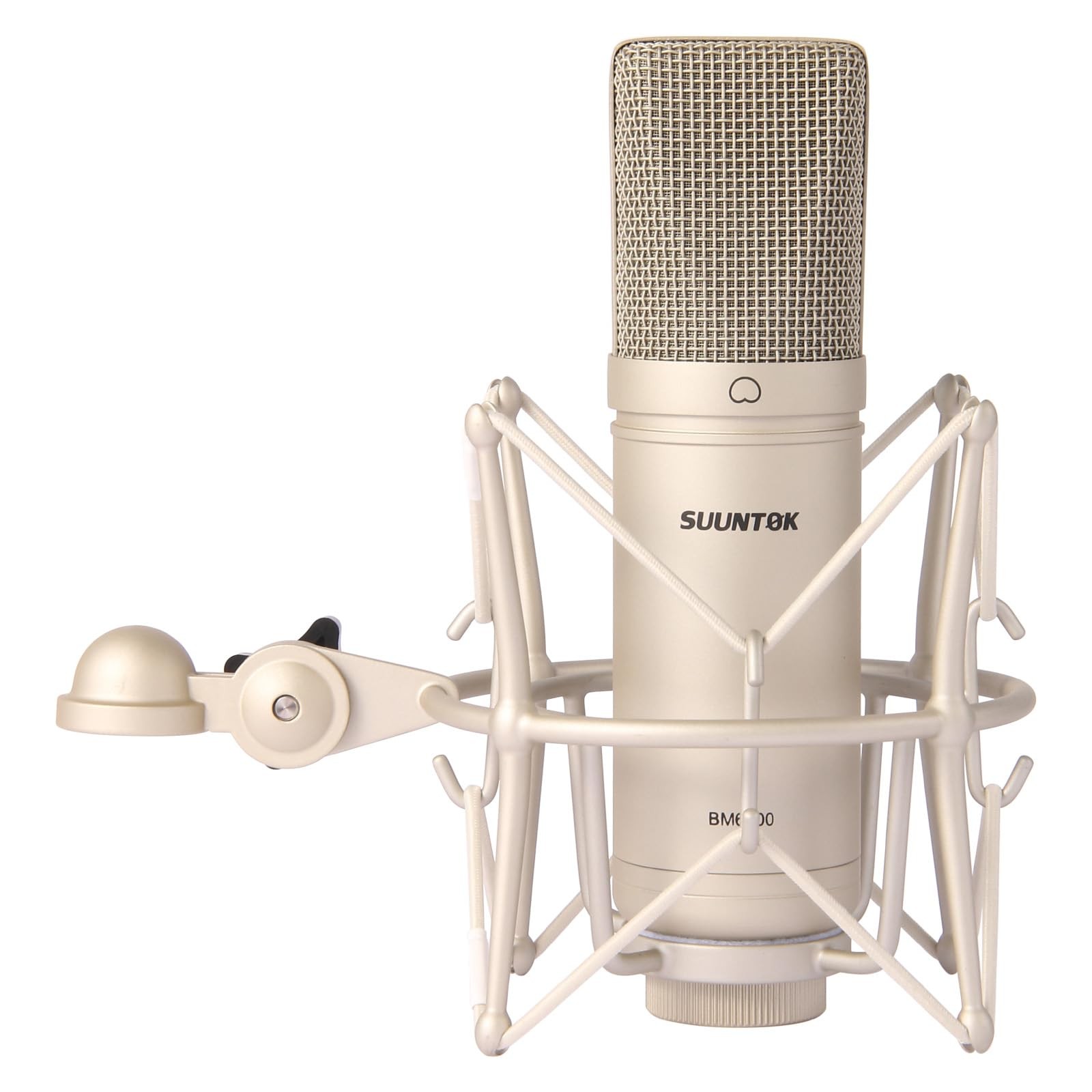 Condenser Microphone XLR, Large Diaphgram Professional Recording Cardioid Microp