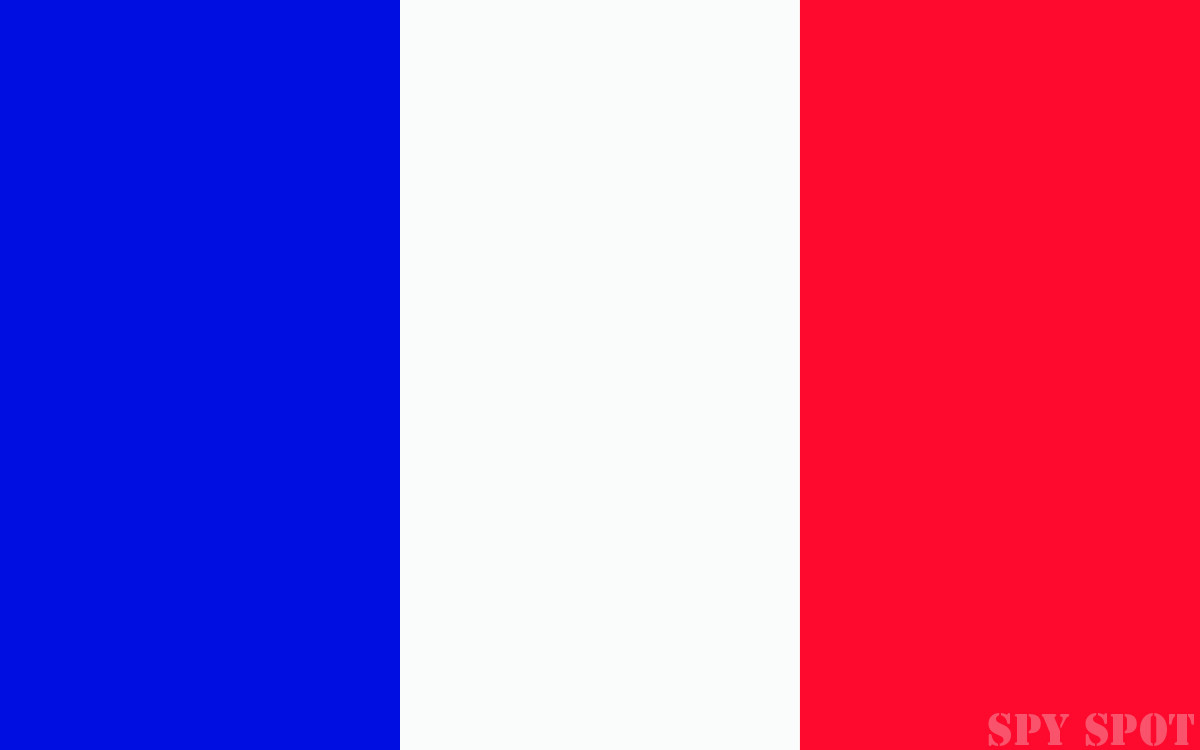 Set of 4 Vinyl France Flag Decal Stickers UV Resistant Weatherproof Spy Spot