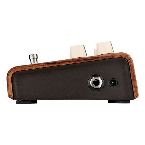LR Baggs Align Series Reverb Guitar effect Pedal