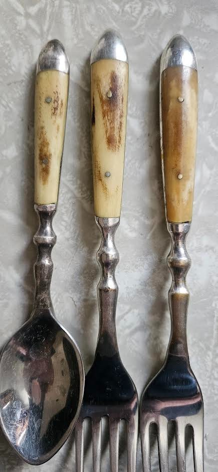 ORVIS 40 Pc Bone Handle Flatware Set