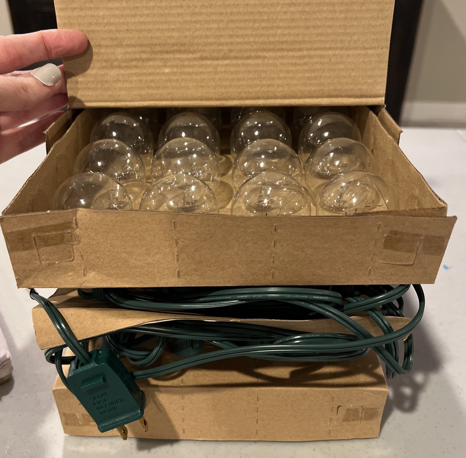 Pottery Barn 40 Globe String Lights Indoor/Outdoor Green 40 FT NIB