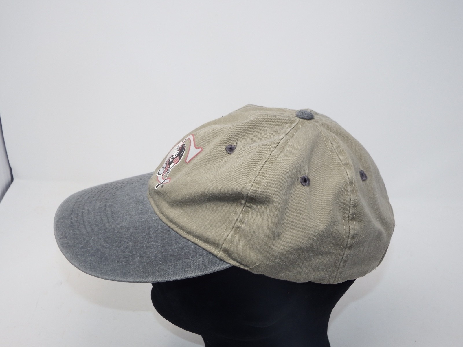 POTOMAC CANNONS (NO LONGER) MINOR LEAGUE BASEBALL Four Seasons HAT ADJUSABLE