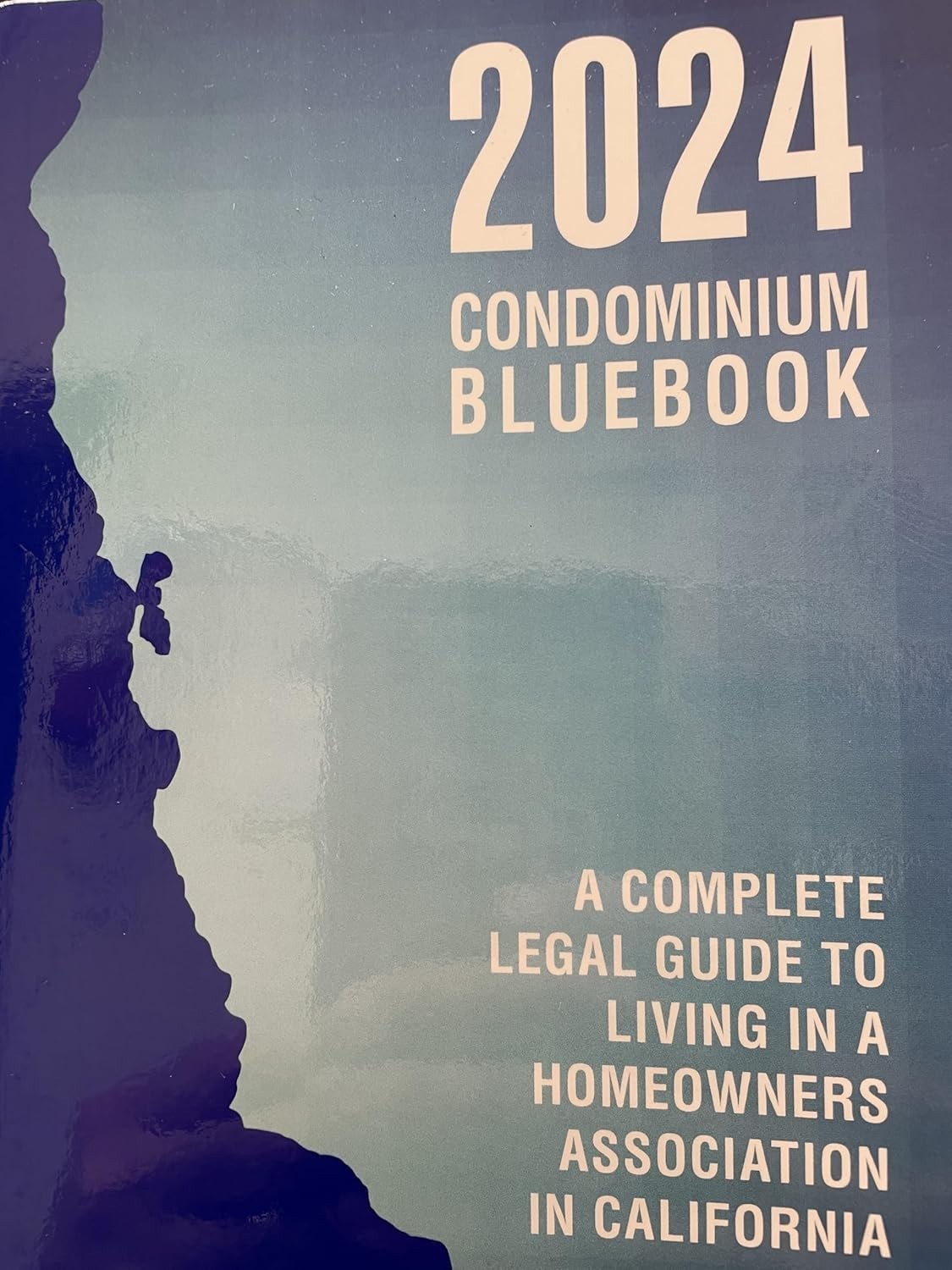 2024 Condominium Bluebook: A Complete Legal Guide To Living In A Homeowners ...