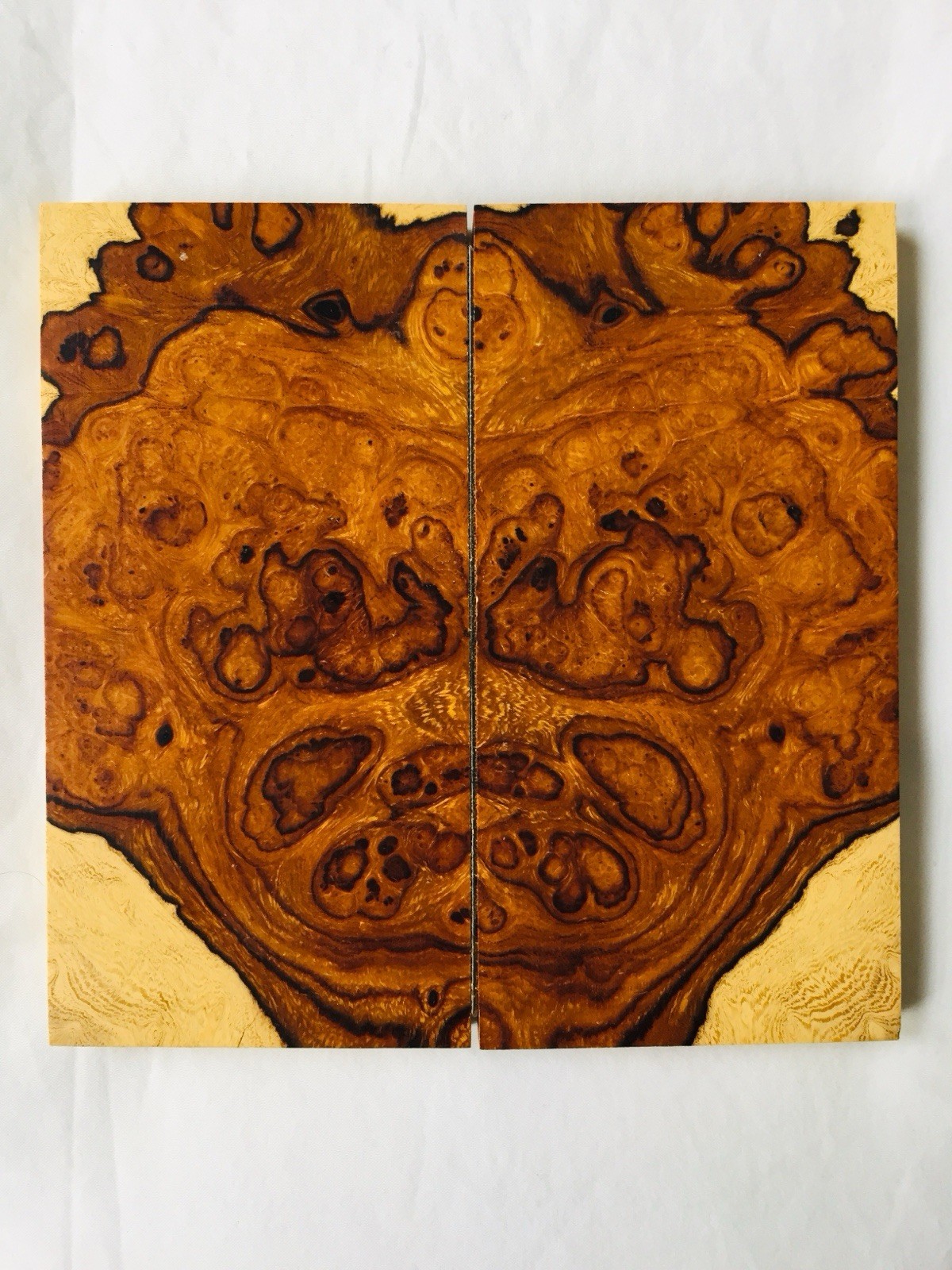 Arizona Ironwood Sapwood Burl Book Matched Knife Scales 5.06” x 2.56” x .38”