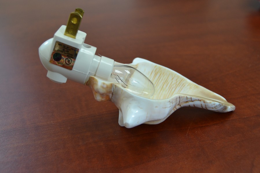 WHITE FOX CONCH SEA SHELL NIGHTLIGHT