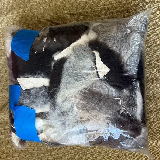 1lb bag of Scandinavian Wool