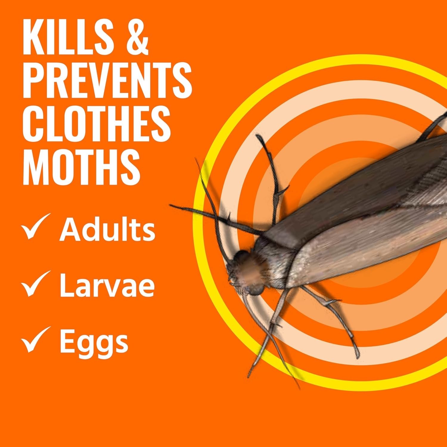 Clothes Moth Killer – T2903 3 Pack | Kills Adult Clothes Moths, Larvae and Moth