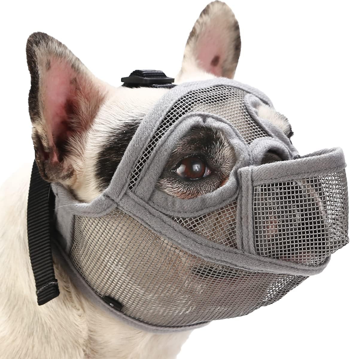 BARKLESS French Bulldog Muzzle, Short Snout Mesh S (Head 15.0-17.5''), Grey