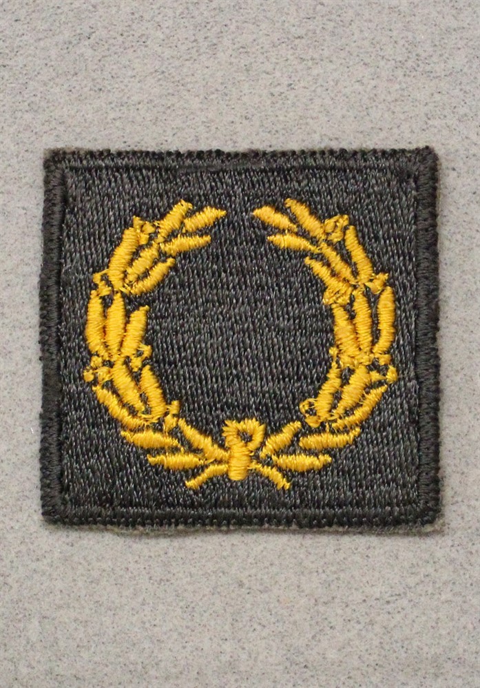 Cloth Army Badge 023: Meritorious Unit Award, 1st Award - on AG