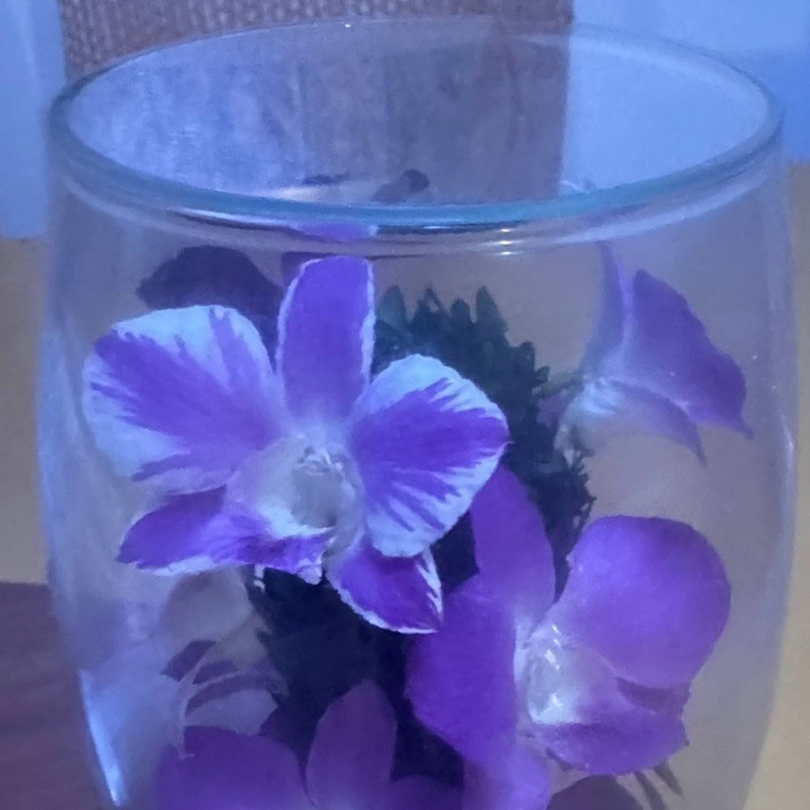 Danbury Mint Miracle Orchids