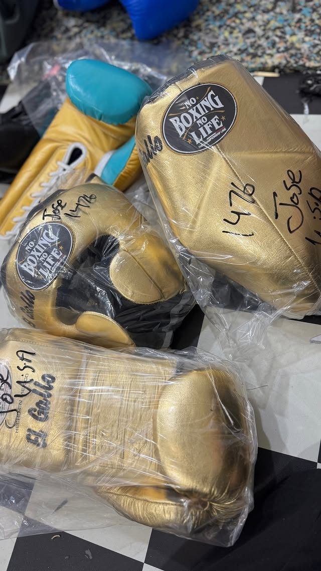 Sparring Set | Real Cowhide | Gloves + Headgear + Guard