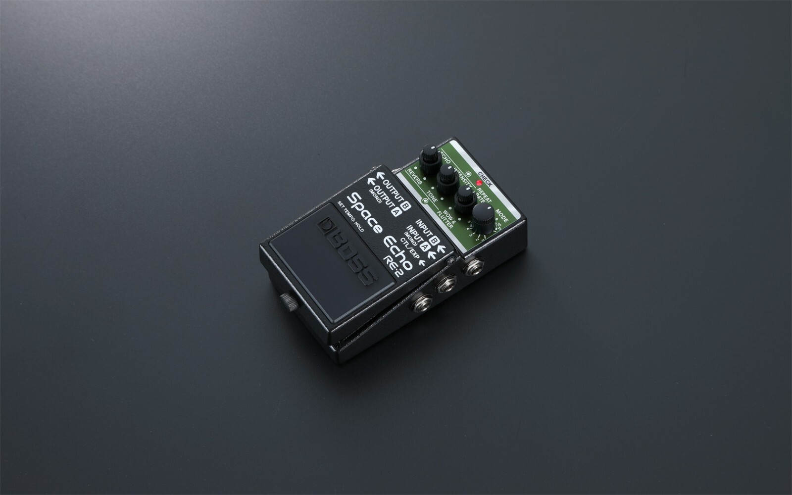Boss RE-2 Space Echo