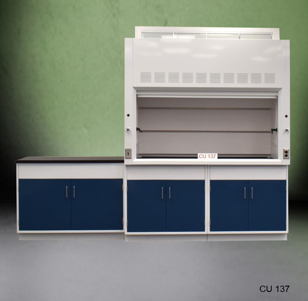 Fisher American 6' Fume Hood w/ General Storage & 4' Laboratory Cabinet E2-589