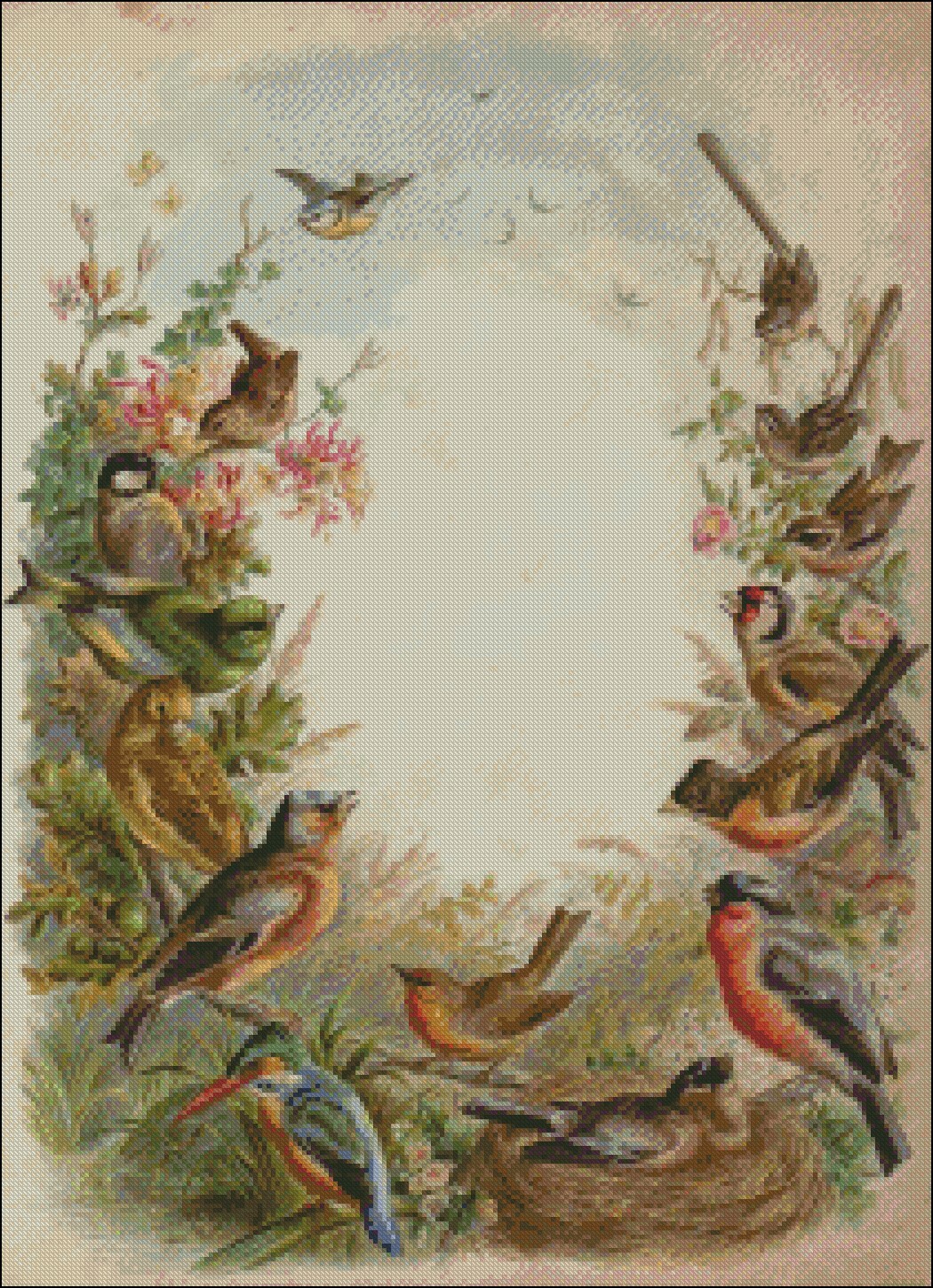 British Birds - Chart Counted Cross Stitch Patterns Needlework DIY DMC Color