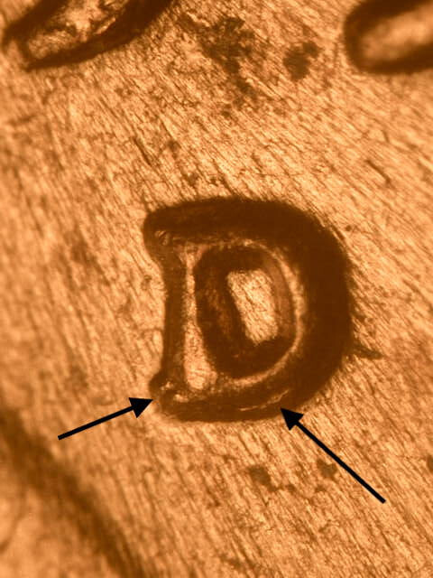 1951-D RPM#31 D/D South Lincoln Wheat Penny Cent~Ch/BU/Uncirculated Red #2