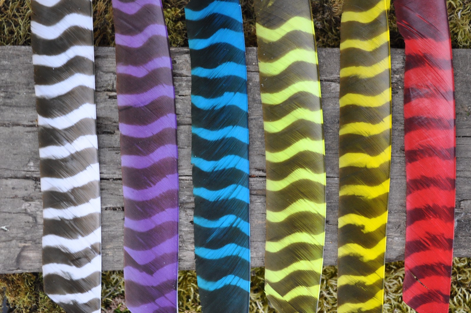 TrueFlight Full Length Barred Feathers - 100 Pack, RW or LW