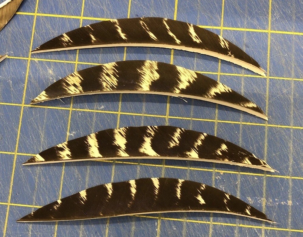 5" Right Wing Banana Natural Barred Feather Fletching, 25Pk Archery 🇺🇸