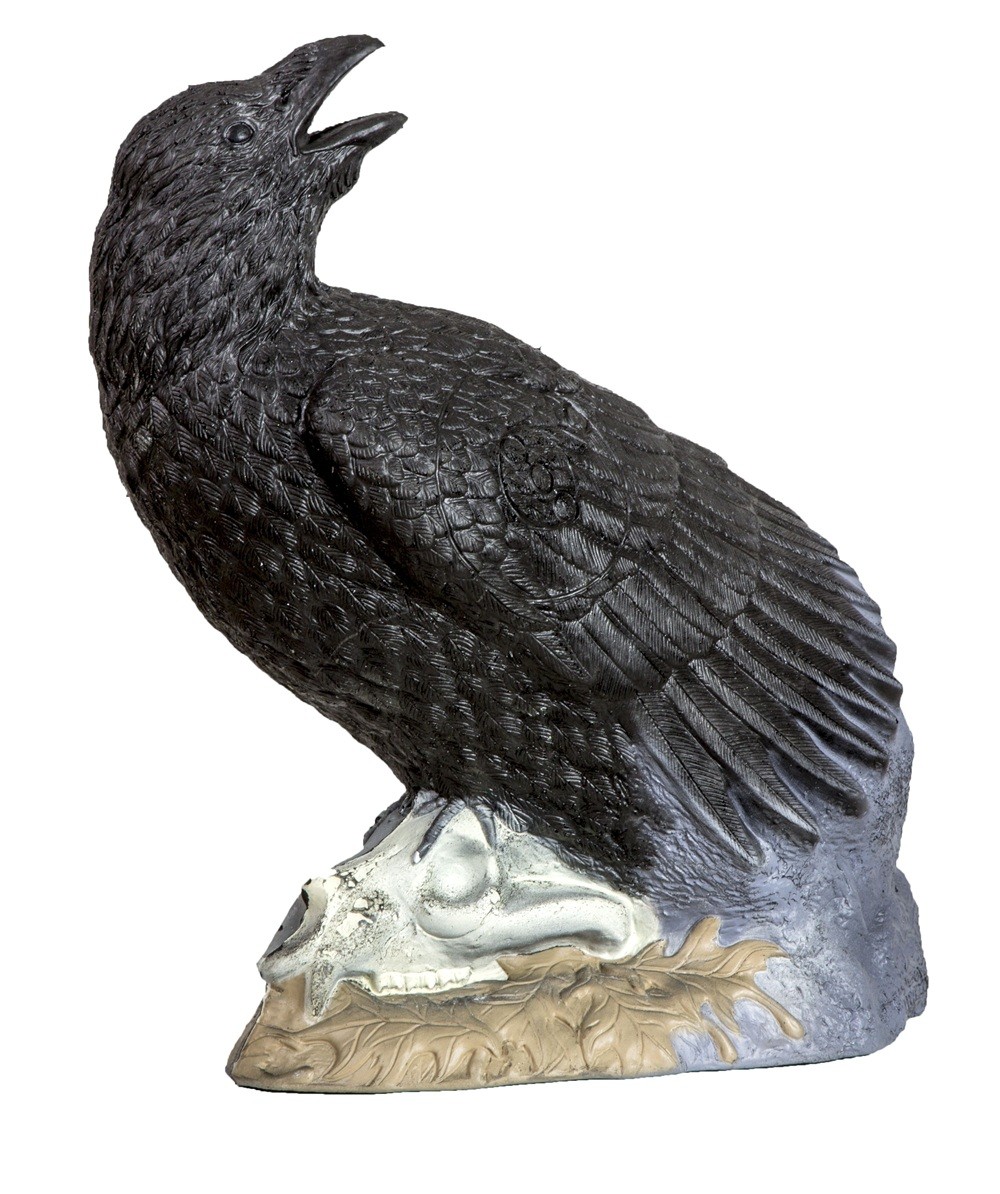 Rinehart Competition Series Raven Archery Hunting Target - IBO