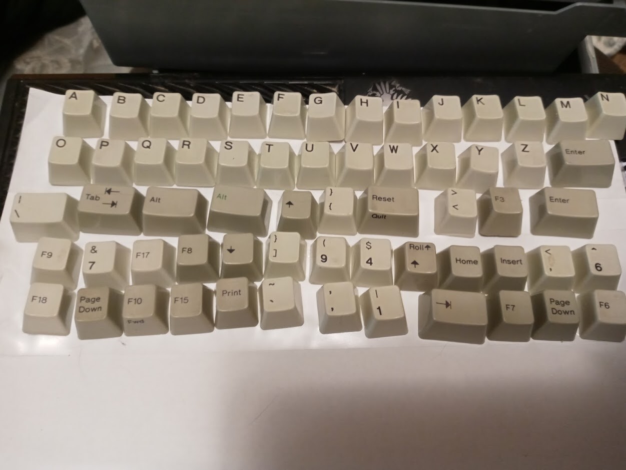 Genuine IBM KEYCAPS Model M & 122-KEY terminal  A-Z SYMBOLS F1-F24 KEYS #PAD KEY