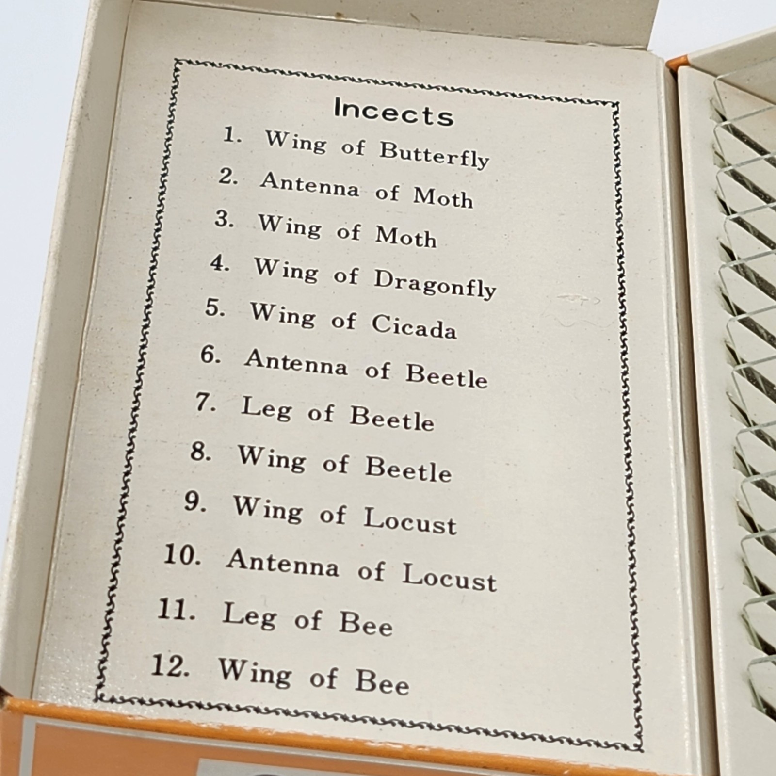 Vintage Sears Prepared Microscope Slides Insects