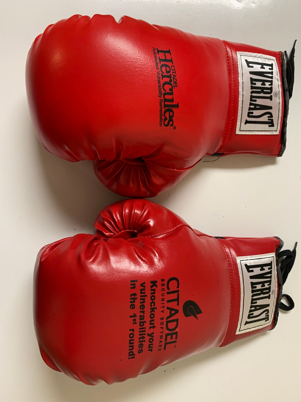 Everlast Red & White Boxing Gloves – 14oz