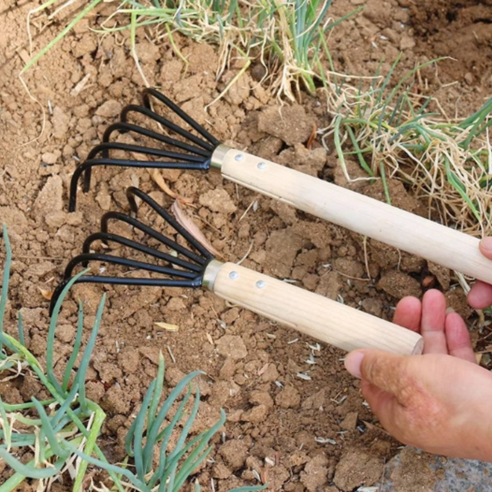 5-Tine Rake Hard and Sturdy Long Handle Rake Thickened Design for Farm, Beach