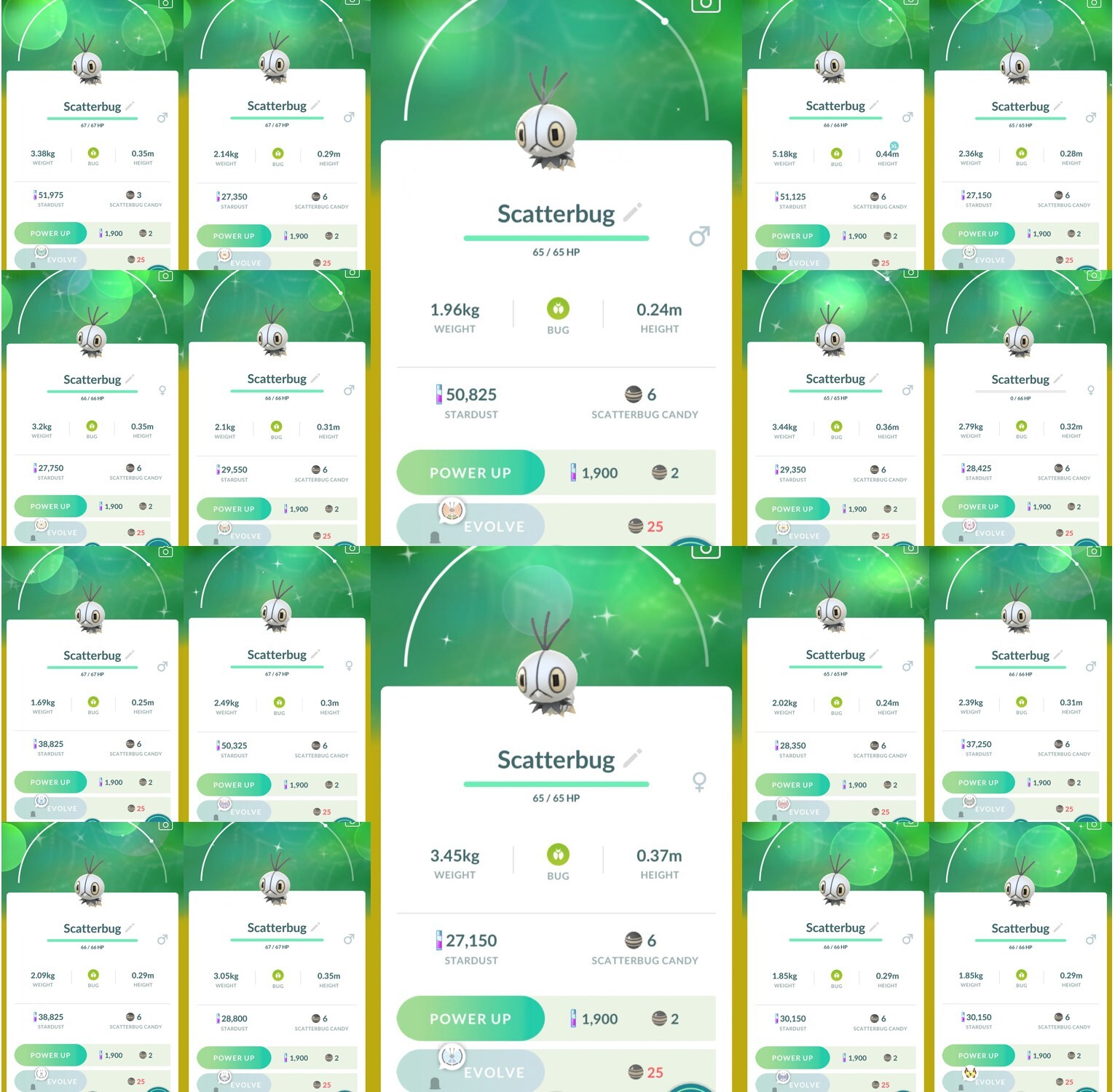 Shiny Scatterbug - All Region - P T C