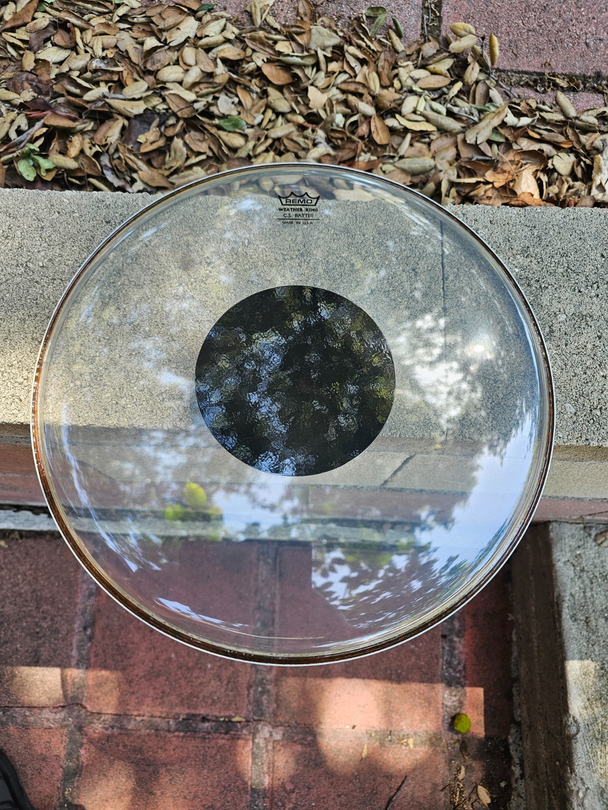 Remo Weather King C.S. Batter 14 inch Drumhead Clear - Very Rare 14" - Brand New