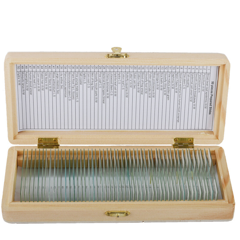 50 biological specimens section microscope insect/animal/plant tissue section
