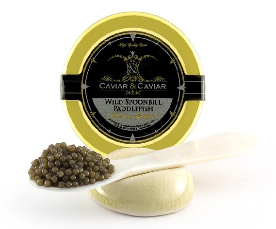 C&C Wild FRESH American Paddlefish Caviar 4oz/ 112g + Mother of Pearl SPOON