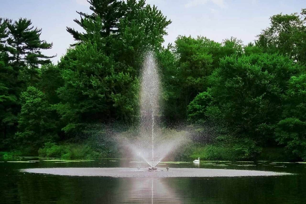 Scott Aerator  Skyward  Fountain 1/2 HP 115V With 70 ft. of Power Cord Model  1