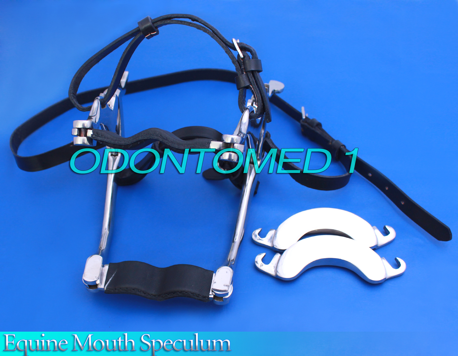 Equine Mouth Speculum for Horses