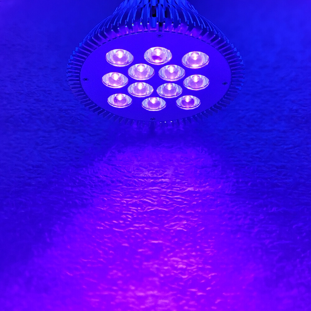 36W 400nm~405nm PAR38 Ultraviolet Purple UV LED Lamp Spot Light Bulb for Curing