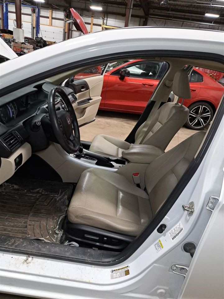 2014 Accord Jack Sku#4417854