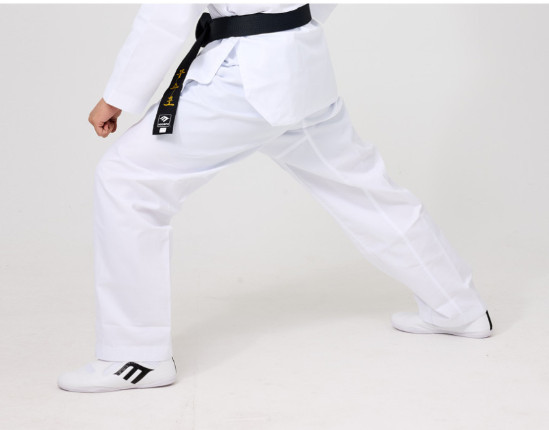 MOOSPO Lightweight Slip-On Martial Arts Karate Taekwondo Shoes Breathable Korean