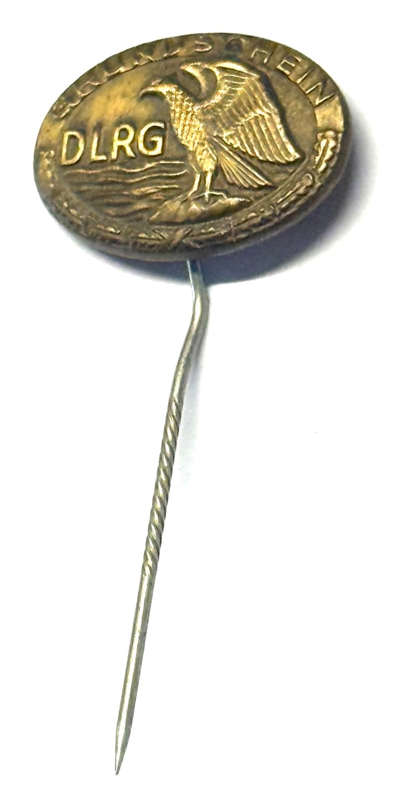 DLRG Basic Certificate Pin (H39n)