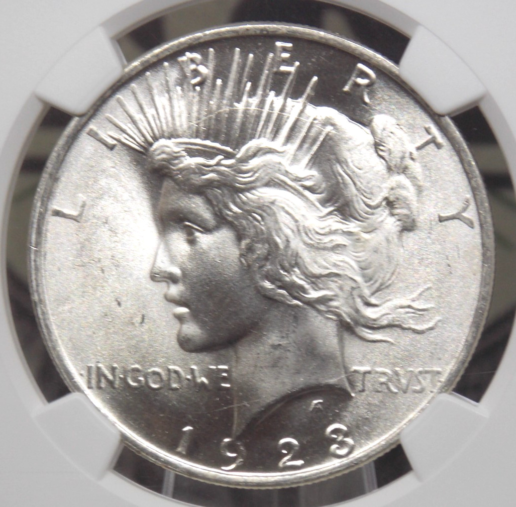 1923 "P" Peace SILVER Dollar $1 NGC MS66 #005 Gem BU Uncirculated ECC&C, Inc.