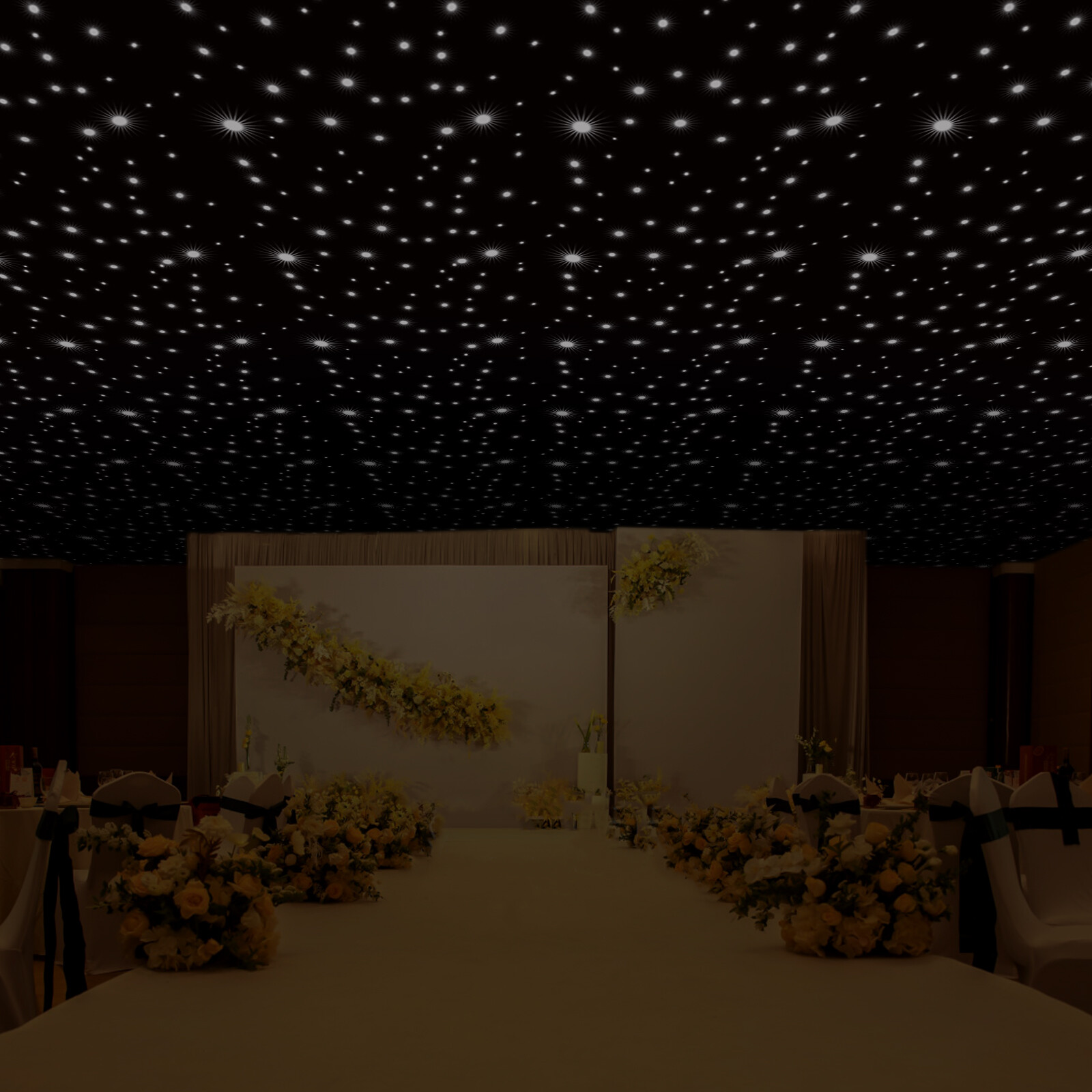 LED Stage Star Sky Background Stage Backdrop Curtain Wall Mounted w/ Controller