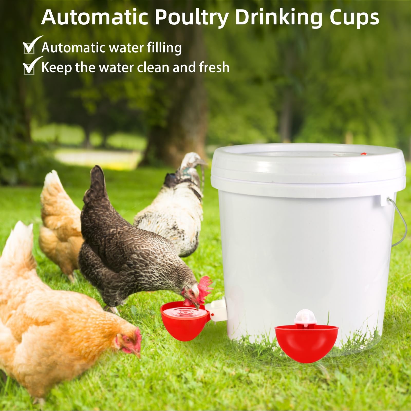 Automatic Chicken Waterer Cups,10 Pack Large Water Feeder, red
