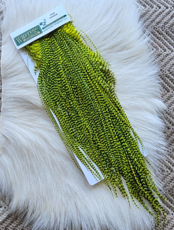 Whiting "" Dry Fly  Full Saddle,, Color;  Grizzly/Chartreuse.   Free Shipping.